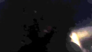 Bubbles taking good keeping of me